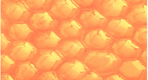 Honeycomb